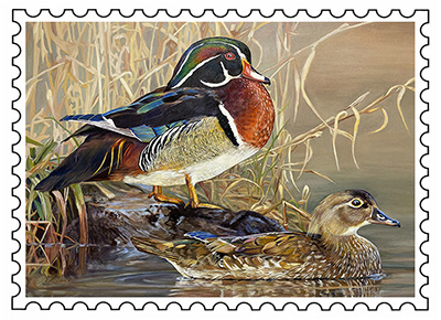 2022 Duck Stamp