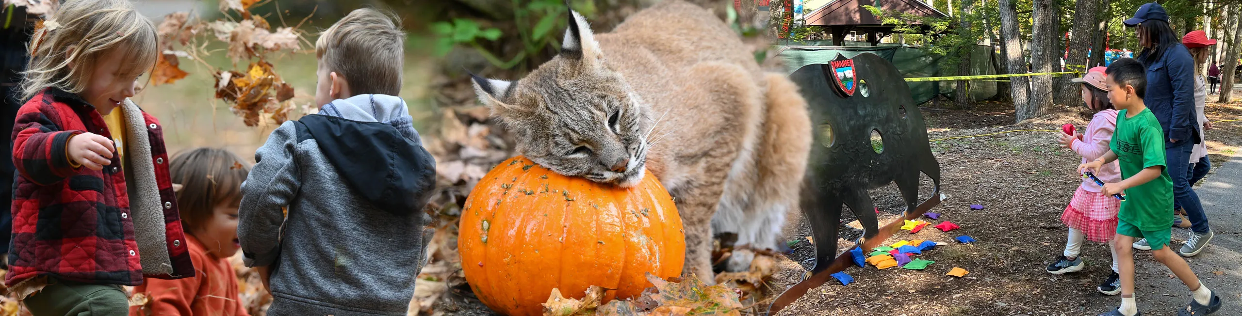 Kids doing fall activities