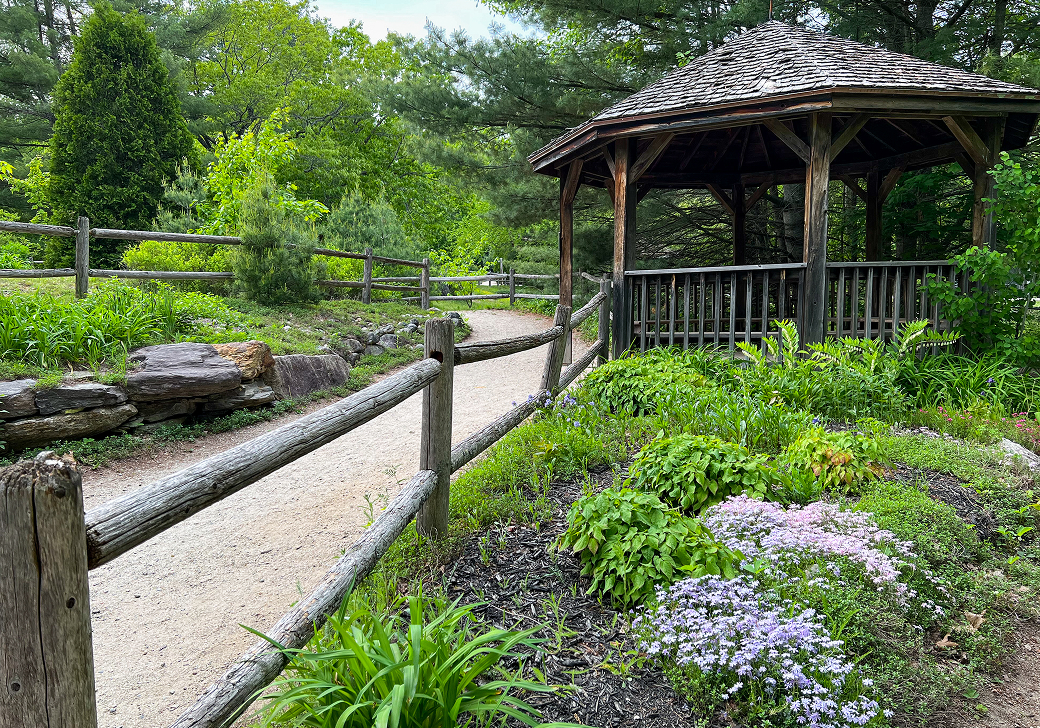 Wooden gazebo beside a winding gravel path bordered by fencing and landscaped garden beds.