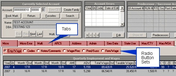 Tabs and Radio Button Sets on the WIN 202 Screen