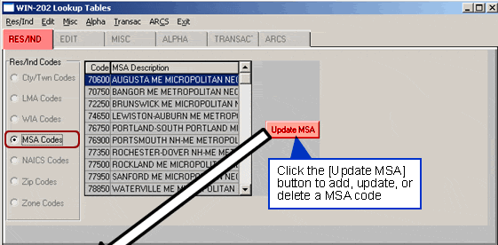 WIN 202 Lookup Tables MSA Codes Screen