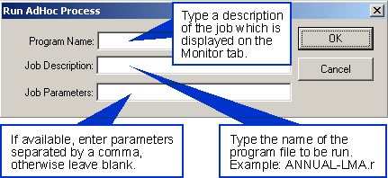 Ad Hoc Process Screen