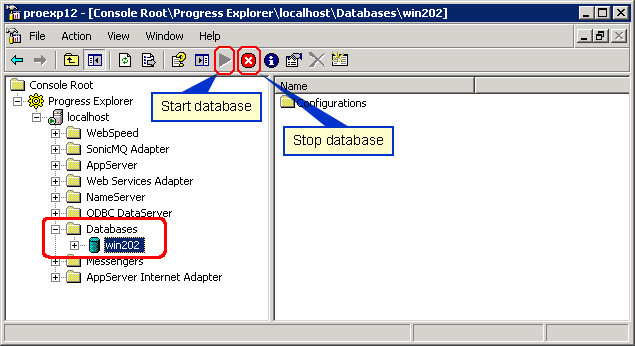 Progress Explorer Tool showing win202 database