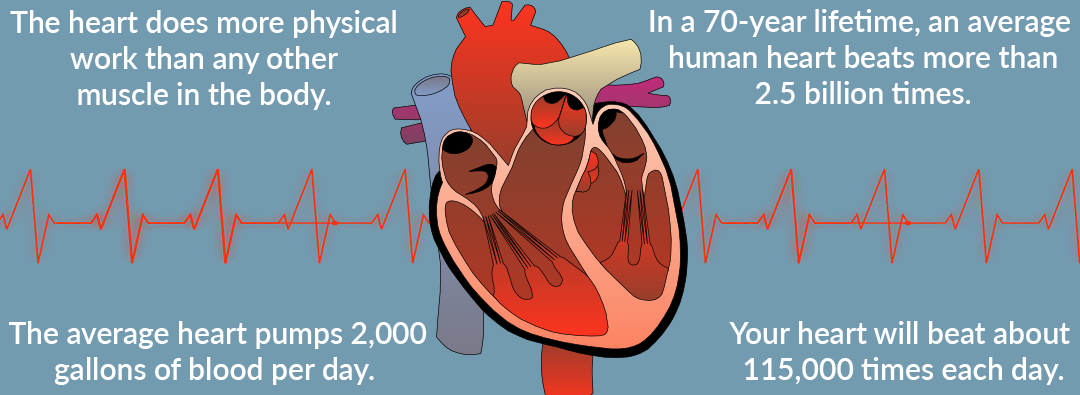 Heart Health Month - February 2019