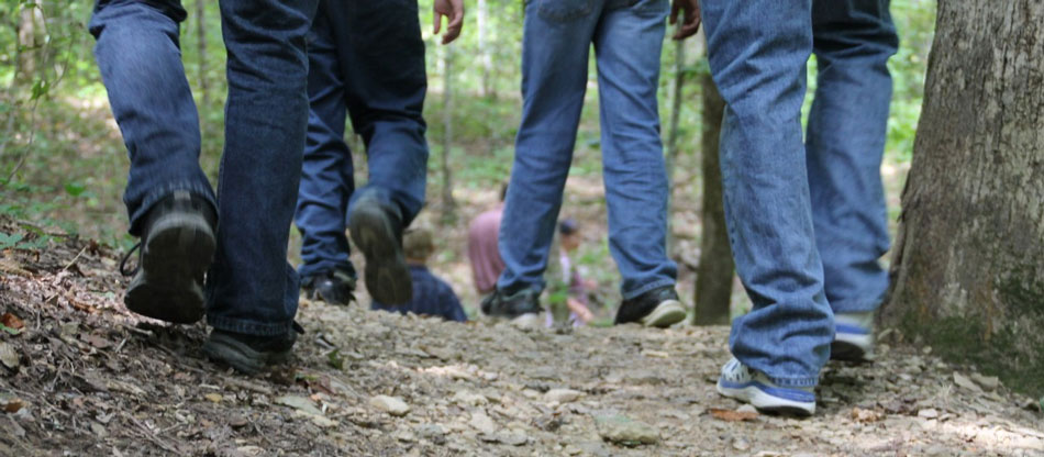 People Walking in the woods.