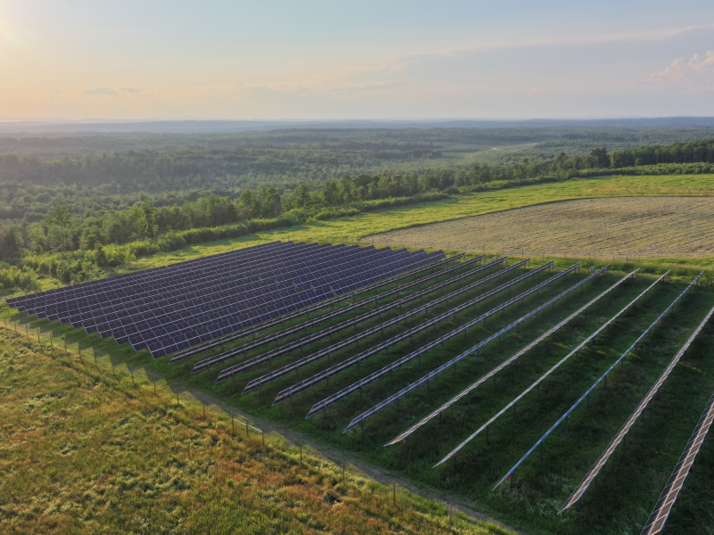 Solar panel field from above.