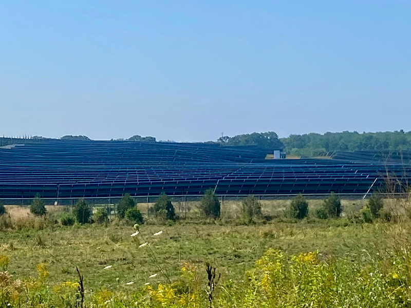 Solar panel field