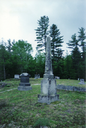 BethelWoodland01