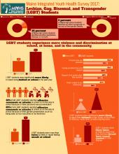 2017LGBTInfographic