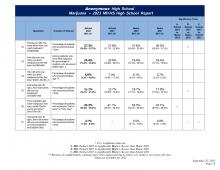 MIYHS School Report Example