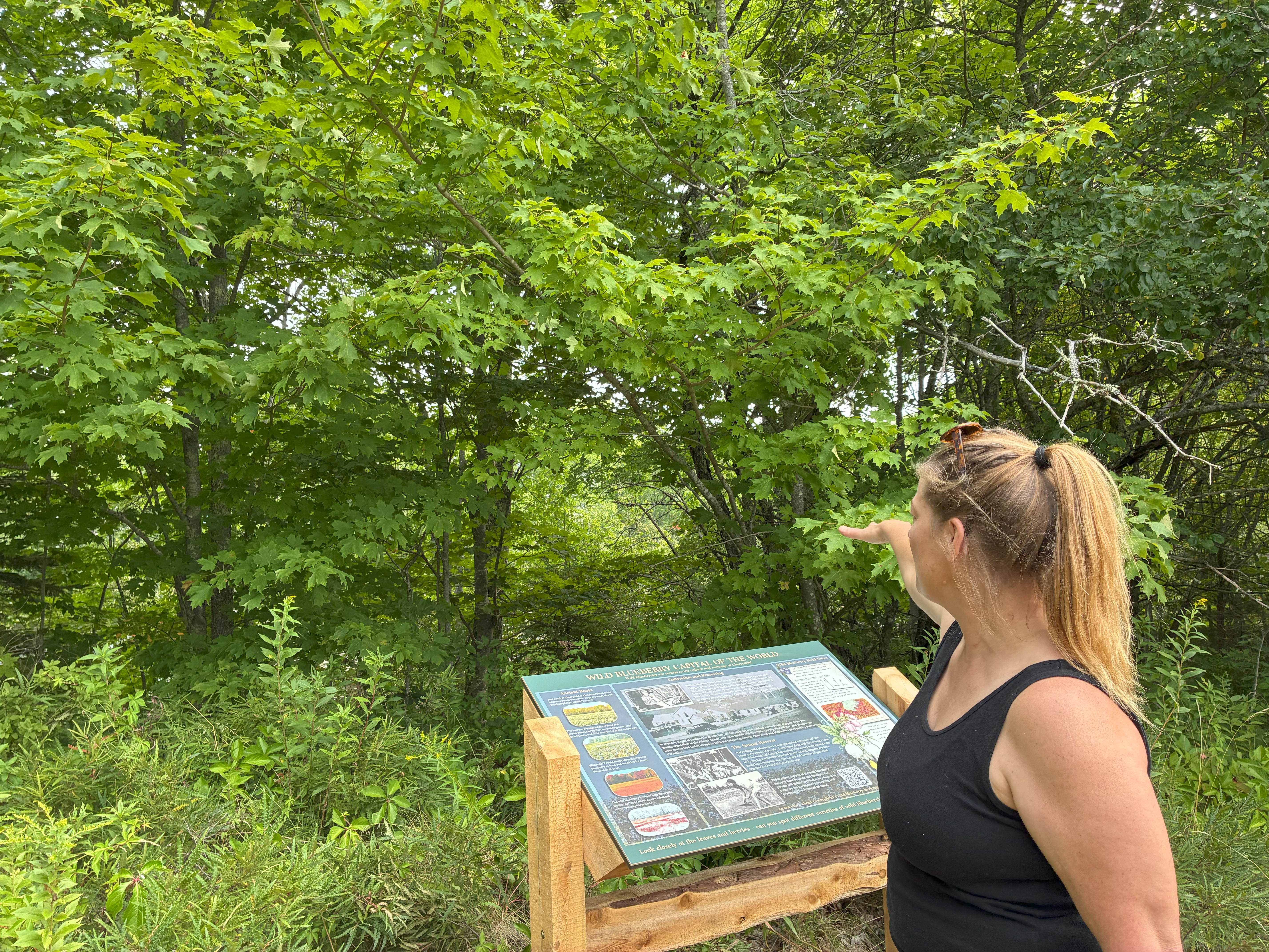 A woman in front of a sign pointing at green trees.