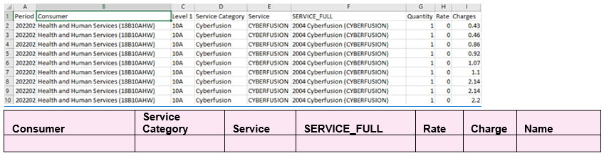 Cyberfusion Sample NICUS Report