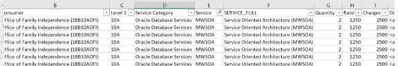 Sample NICUS 350 Report