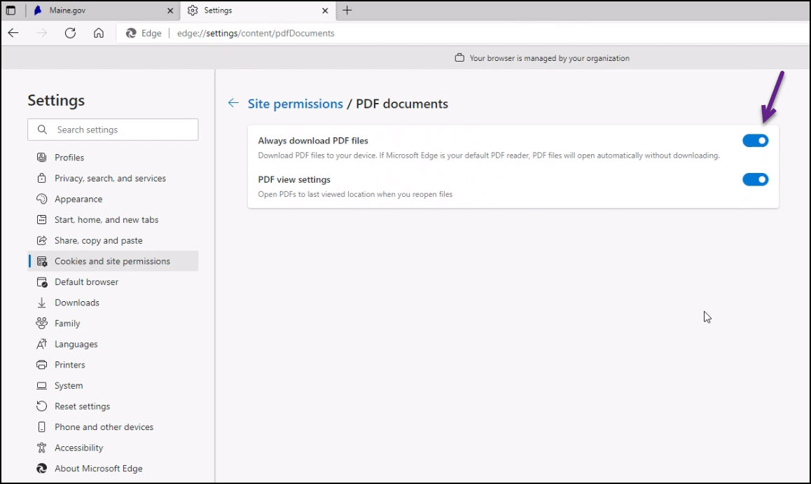 PDF settings in Edge browser image 4