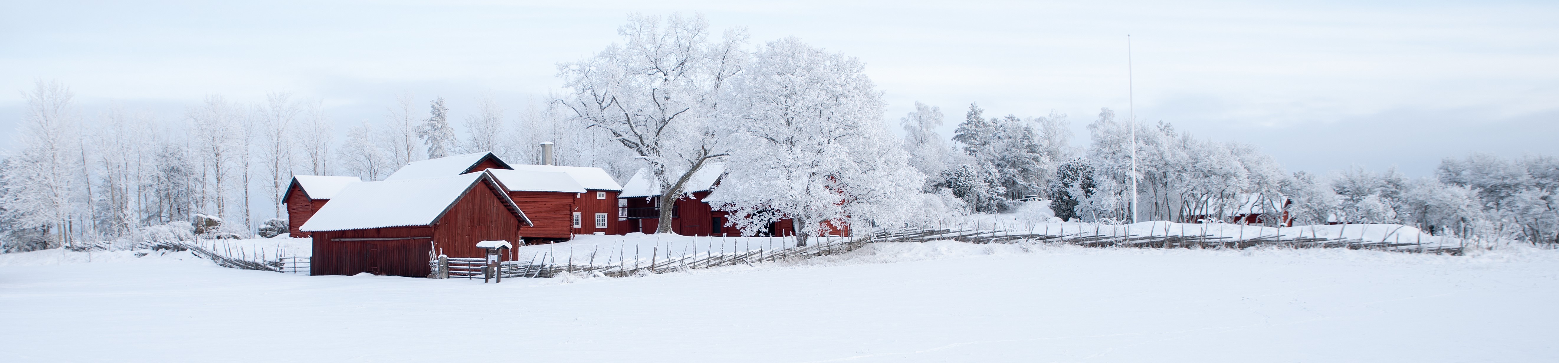 wintry house