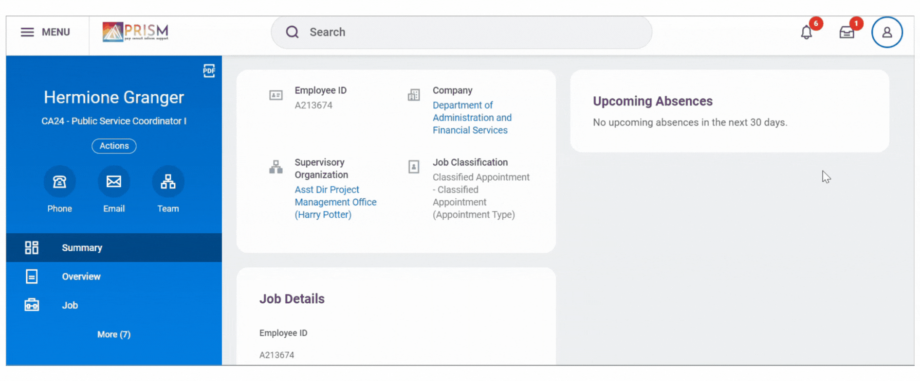 Employee Profile Summary