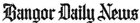 Bangor Daily News logo