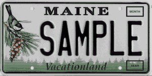 Image of a sample license plate