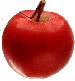 Image of an Apple