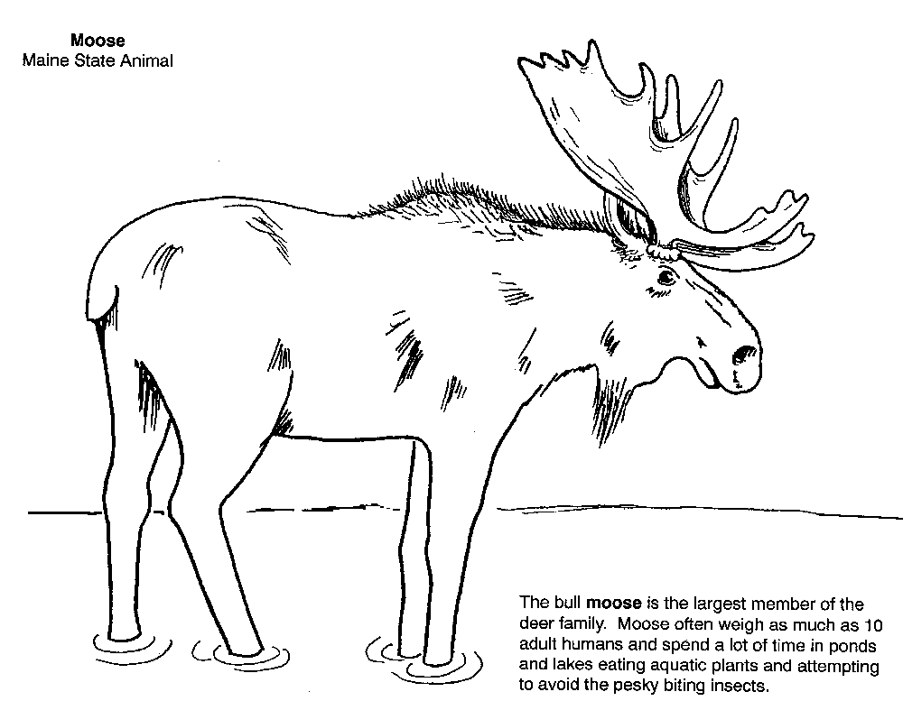 Imate of Coloring book page