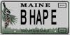 BHAPE plate