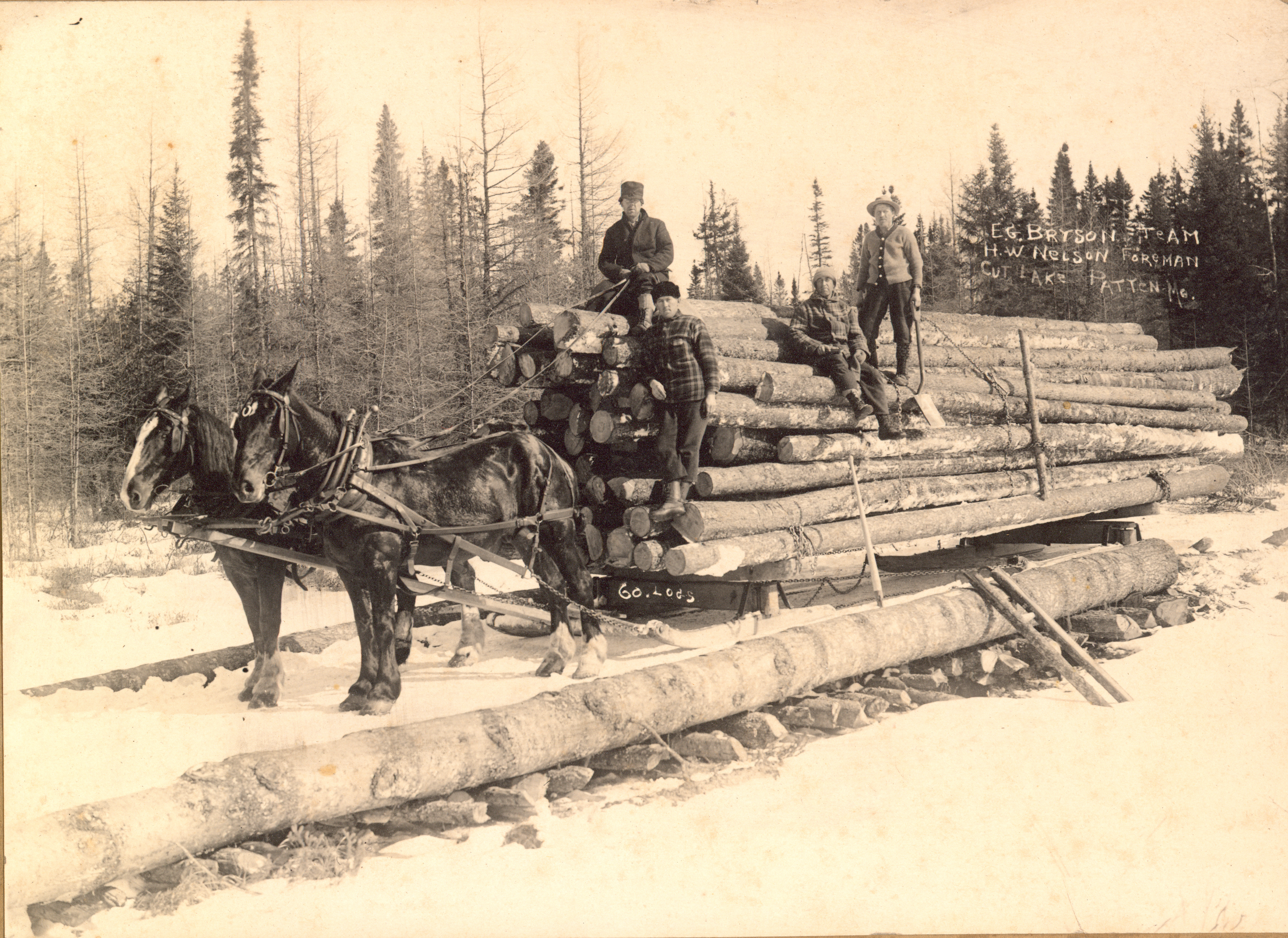 A vintage sepia-toned photograph showing two horses pulling a massive, snow-dusted sled piled high with logs. Four loggers are positioned across the timber stack, with a dense evergreen forest stretching across the background.