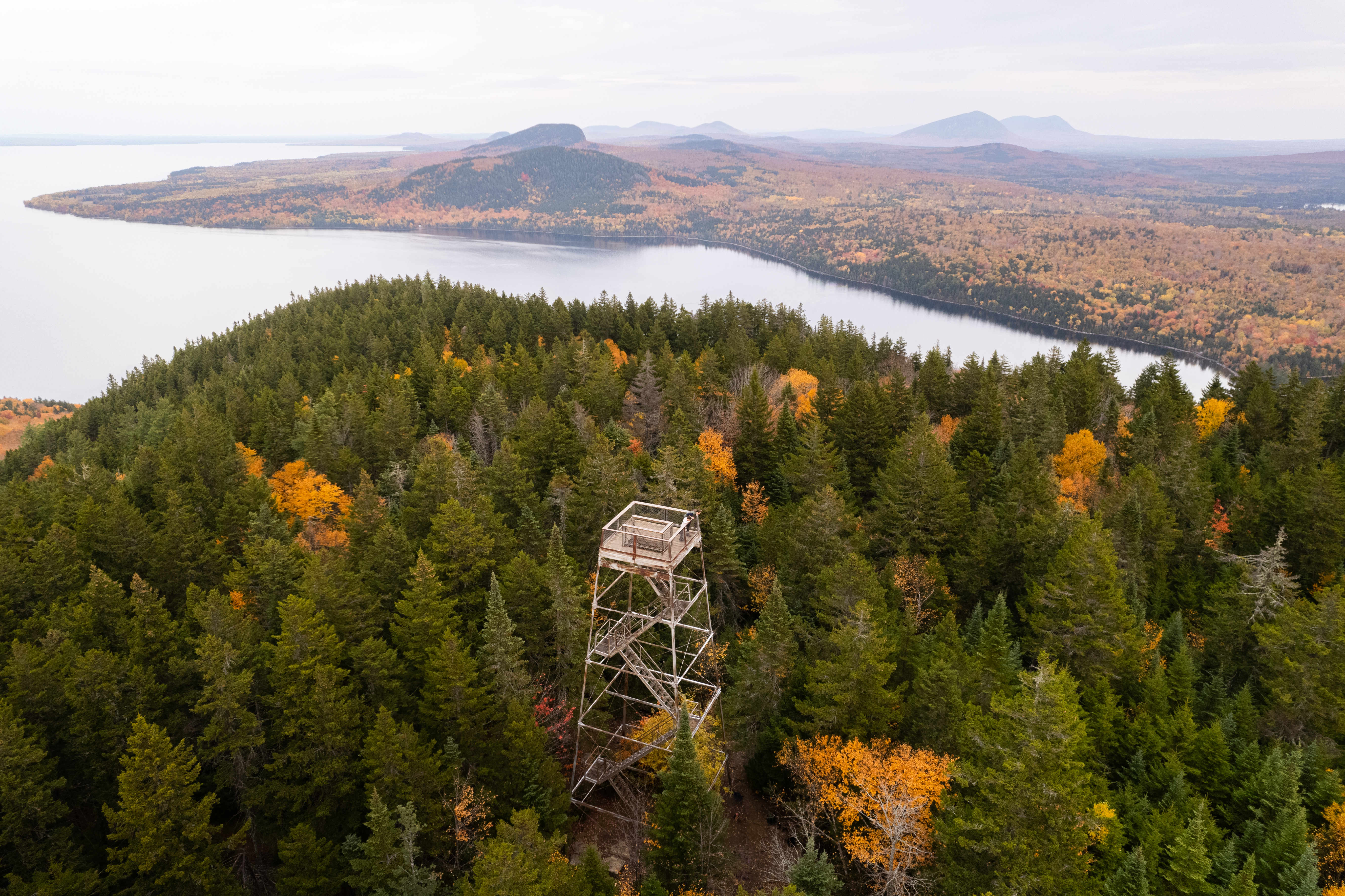 A high-angle aerial photograph looking down at a tall, metal frame fire lookout tower emerging from a dense forest of evergreen and autumn-colored trees. In the background, a large, calm lake wraps around the forested peninsula under a hazy sky.