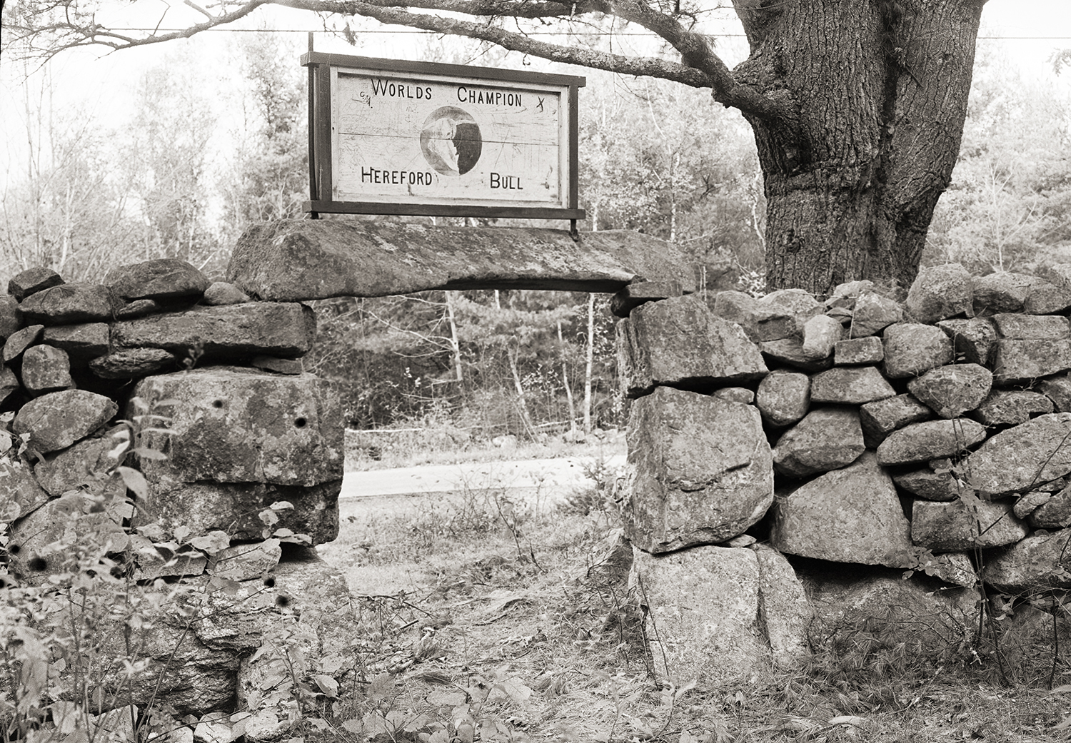 Entry way between stone wall with sign hanging from tree