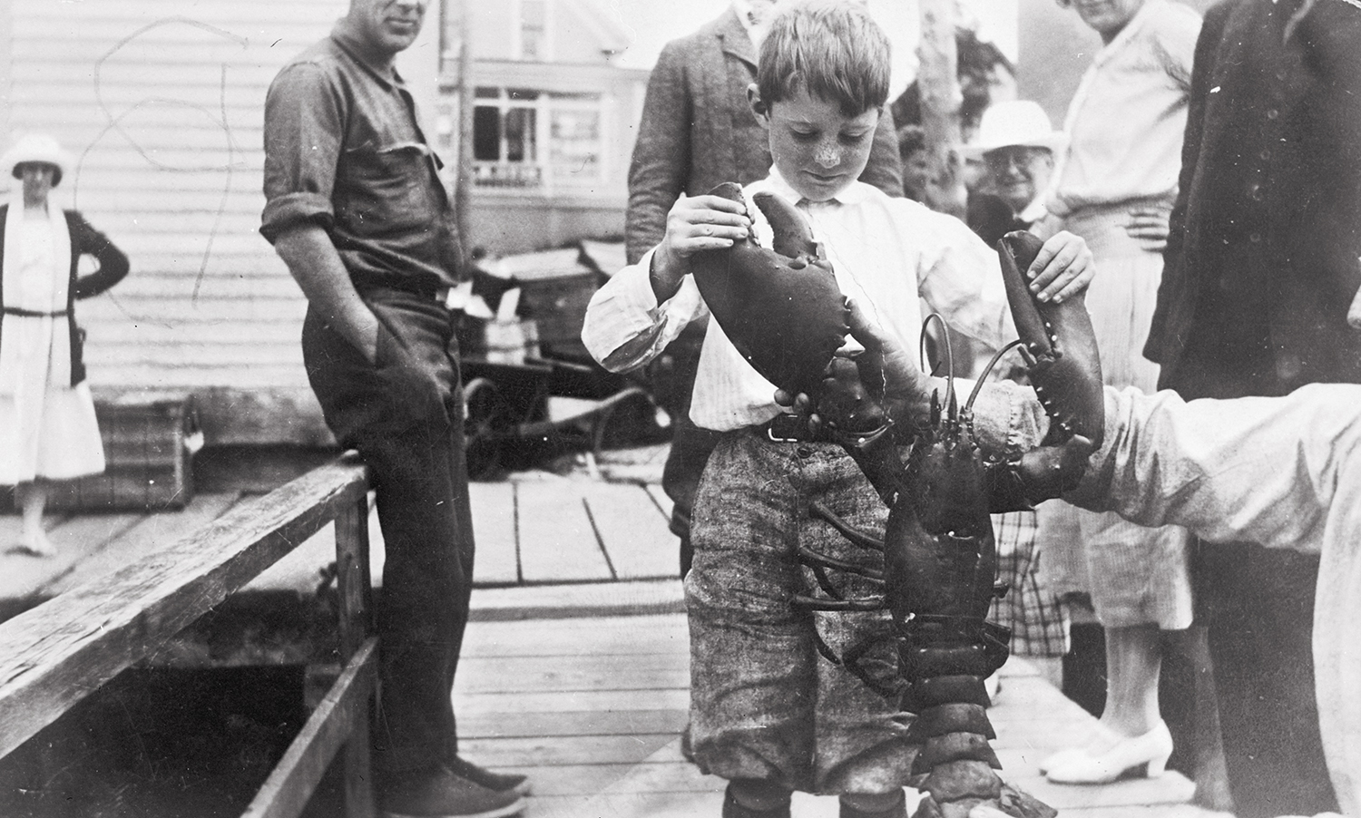 A vintage black and white photograph capturing a young boy standing on a wooden pier, carefully holding open the large claws of a massive lobster. A small crowd of adults stands around him watching the moment.