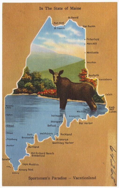 A vintage postcard shaped like the map of Maine, featuring an illustration of a moose standing in water against a landscape background, with the text "In The State of Maine" and "Sportsmen's Paradise -- Vacationland".