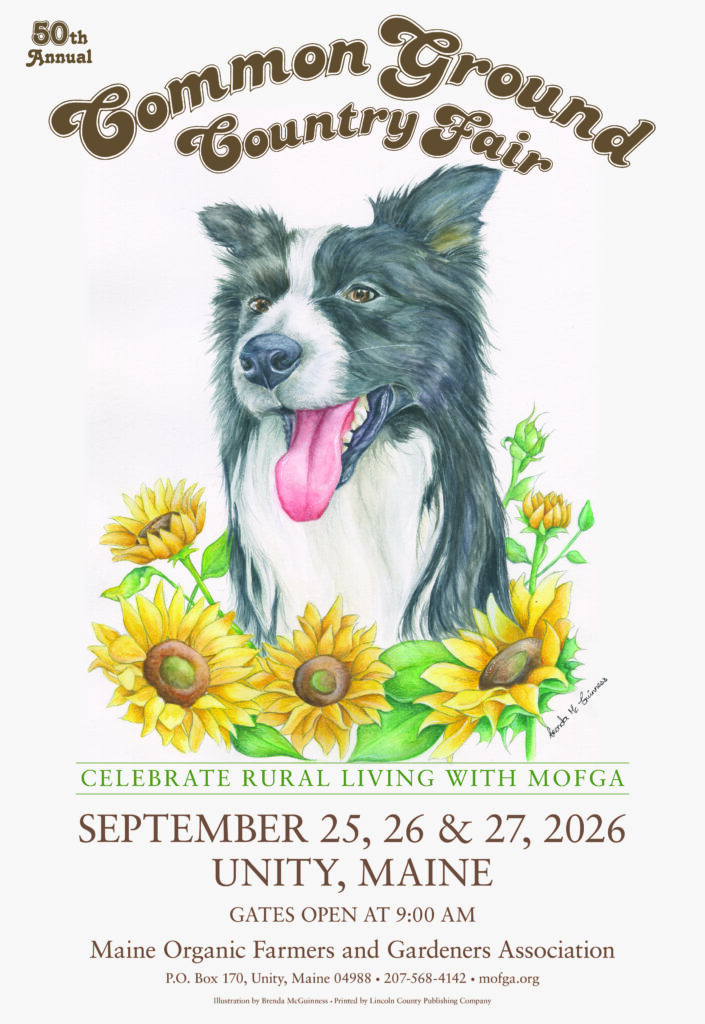 Common Ground County Fair poster with black and white dog in front of sunflowers