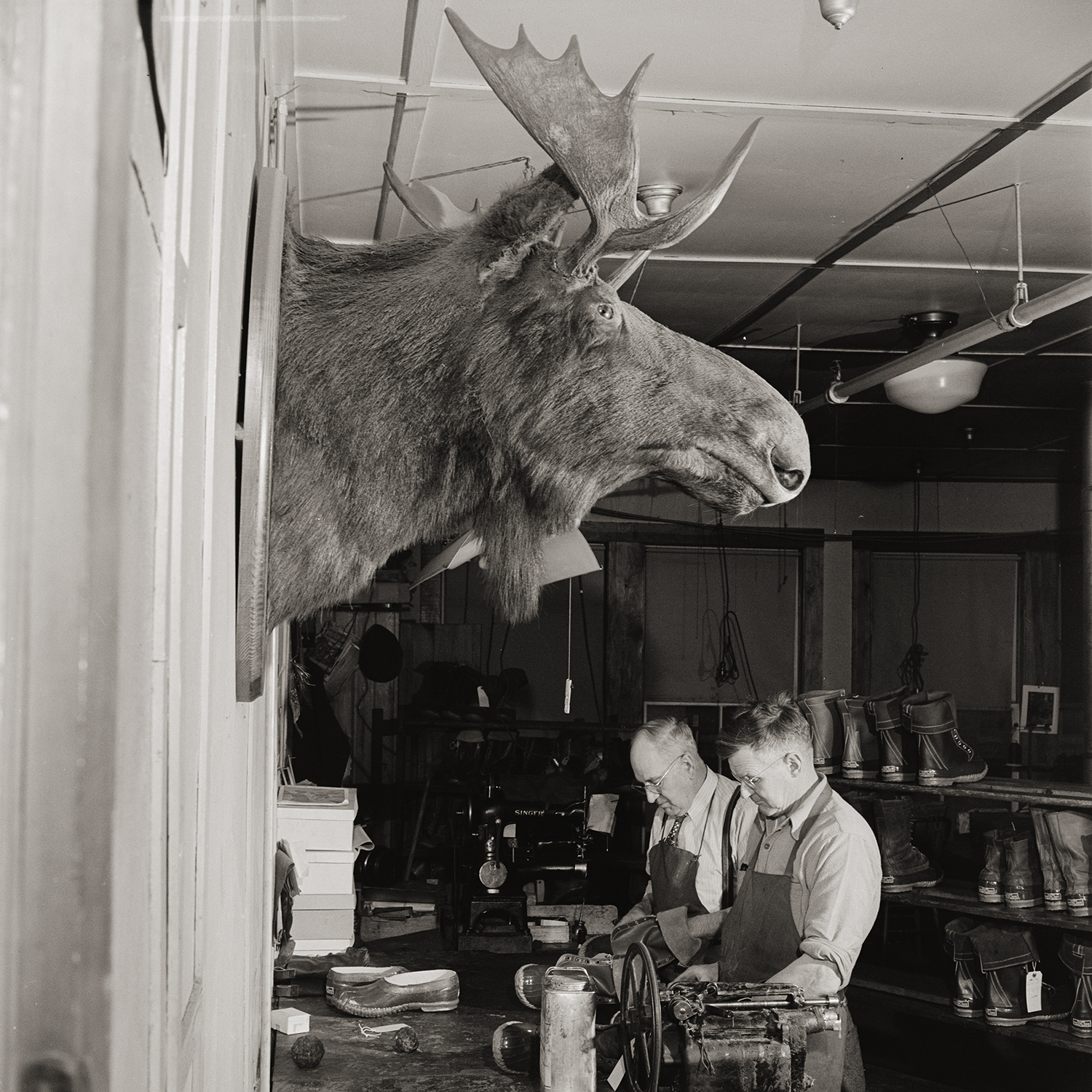 Two men in the background working on shoes with a large moose head above