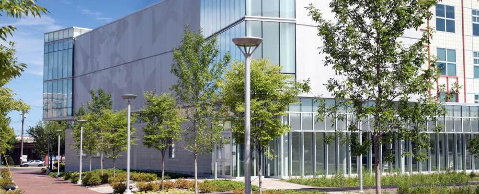 Exterior view of the Osher Map Library building with a landscaped brick walkway and glass facade in spring.