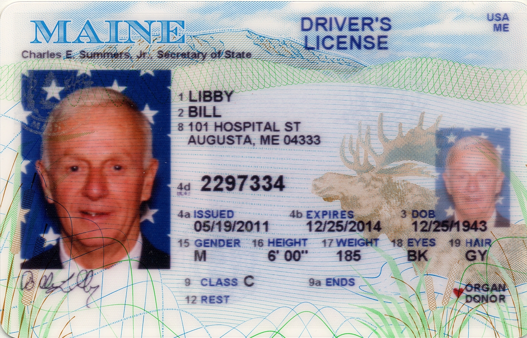 sample military license image