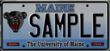 A Maine Black Bear Specialty License Plate