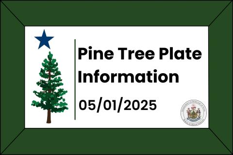 Pine Tree Plate